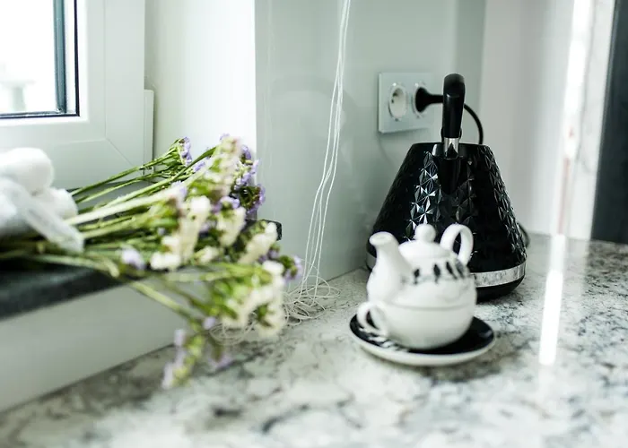 Marina 102 - Old Town 55m2 * Γκντανσκ